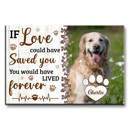 If Love Could Have Saved You, You Would Have Lived Forever