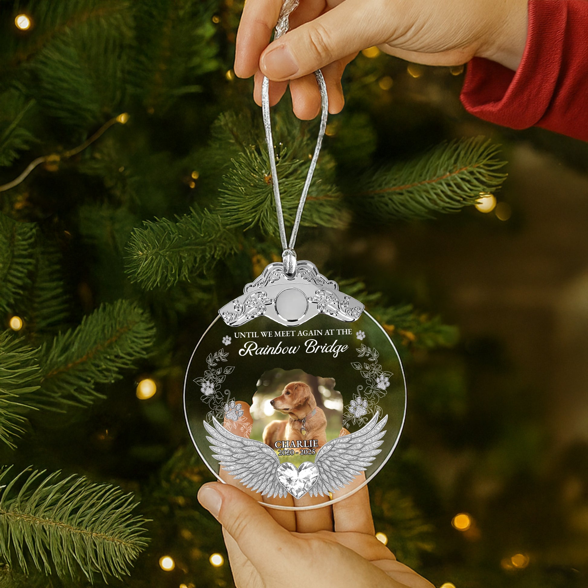 Until We Meet Again At The Rainbow Bridge With Dog And Wings