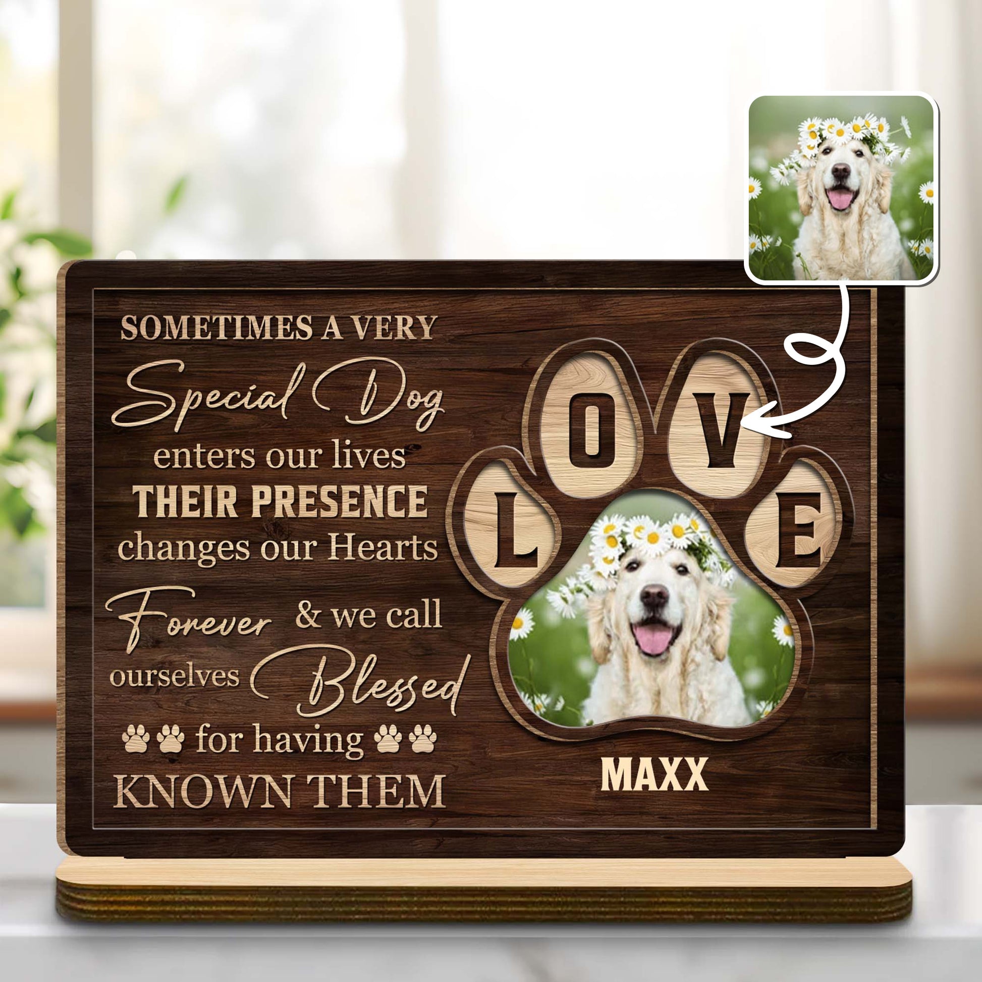 Special Dog Changes Our Hearts Forever Love Letters