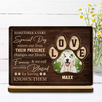 Special Dog Changes Our Hearts Forever Love Letters