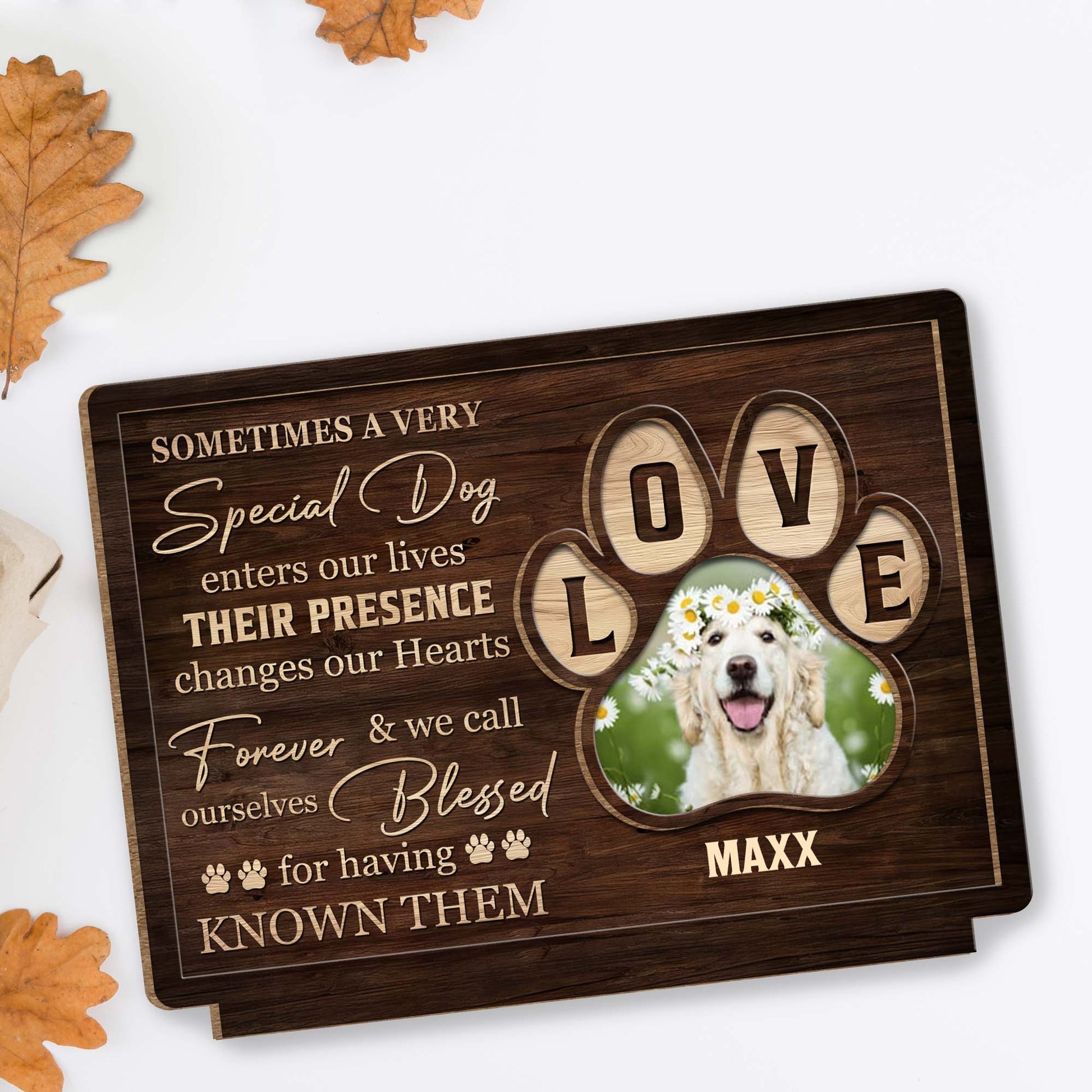 Special Dog Changes Our Hearts Forever Love Letters