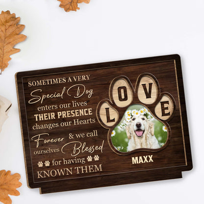 Special Dog Changes Our Hearts Forever Love Letters