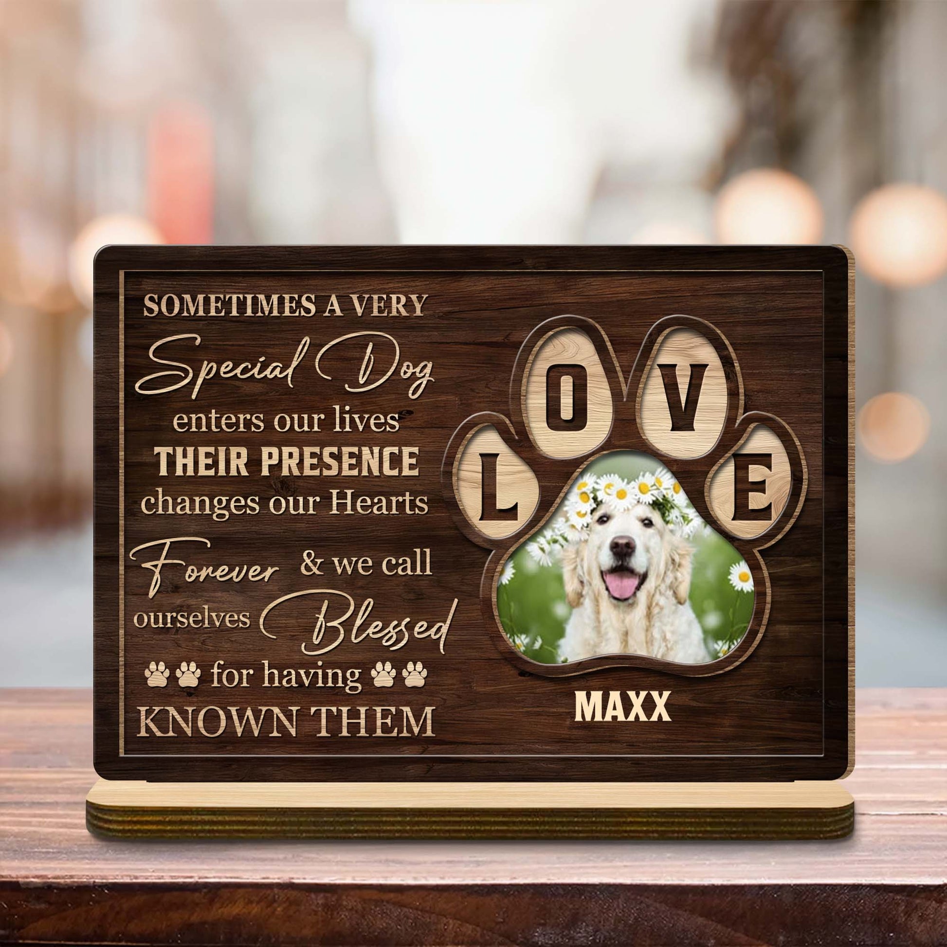 Special Dog Changes Our Hearts Forever Love Letters