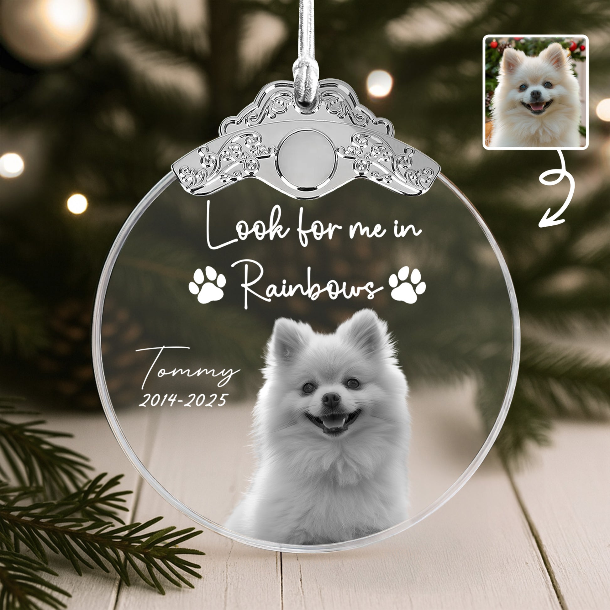 Look For Me In Rainbows, Paw Prints And Dog