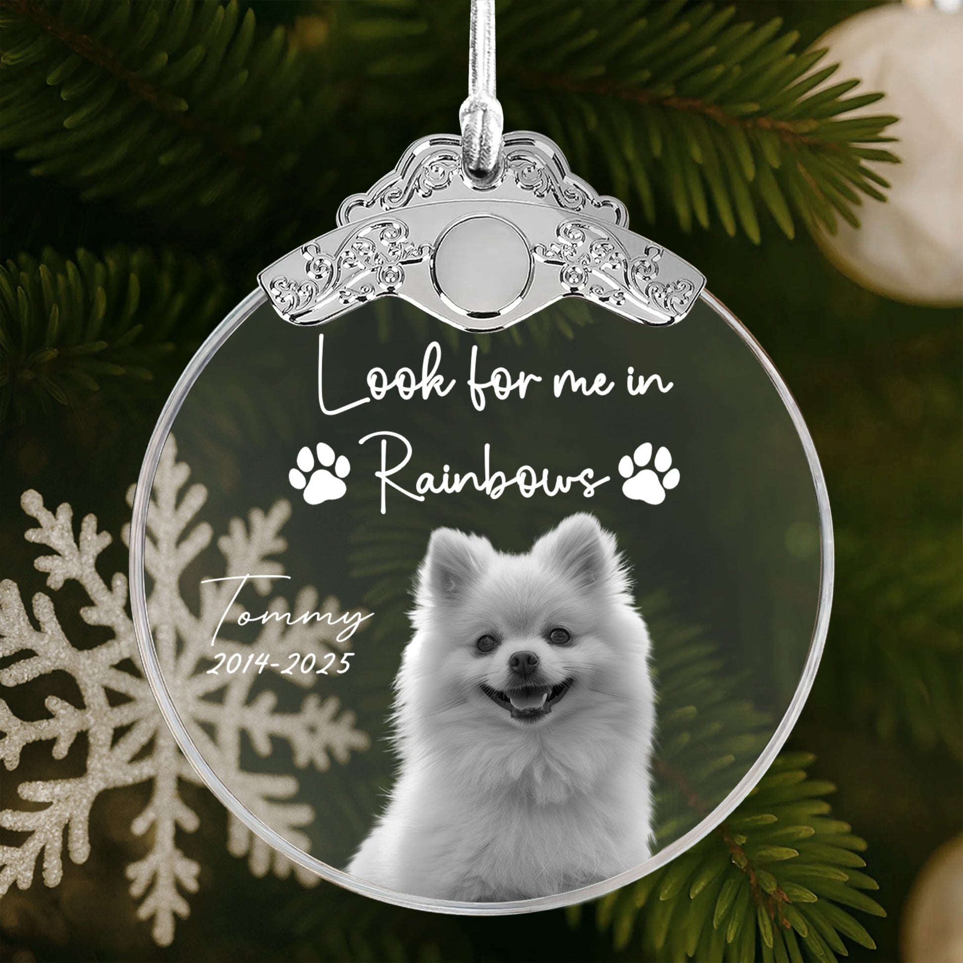 Look For Me In Rainbows, Paw Prints And Dog