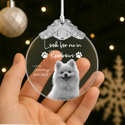 Look For Me In Rainbows, Paw Prints And Dog