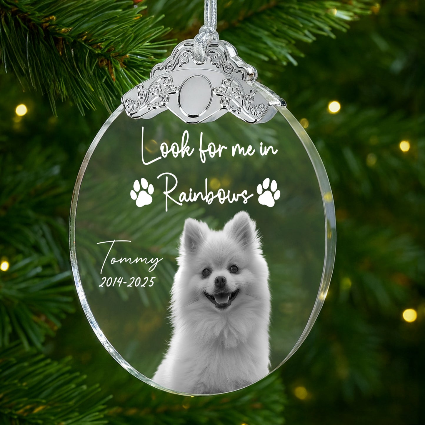 Look For Me In Rainbows, Paw Prints And Dog