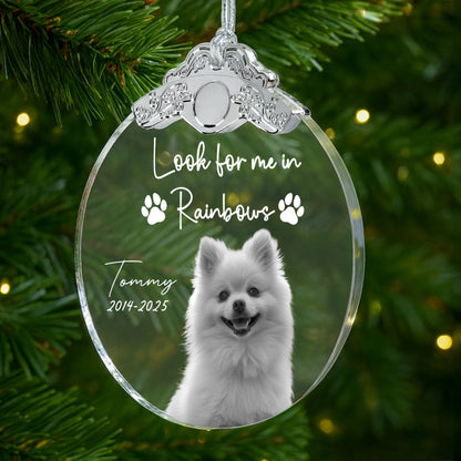 Look For Me In Rainbows, Paw Prints And Dog