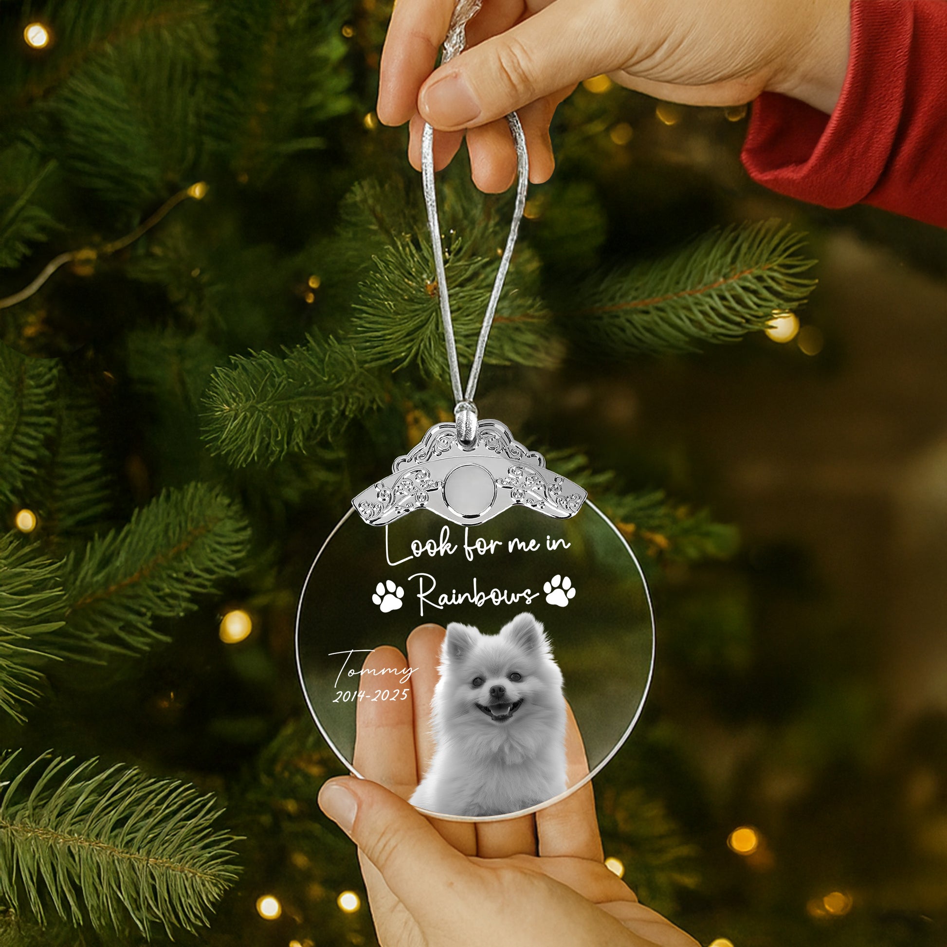 Look For Me In Rainbows, Paw Prints And Dog