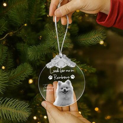 Look For Me In Rainbows, Paw Prints And Dog