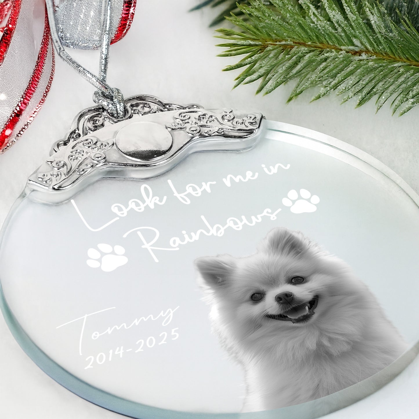 Look For Me In Rainbows, Paw Prints And Dog