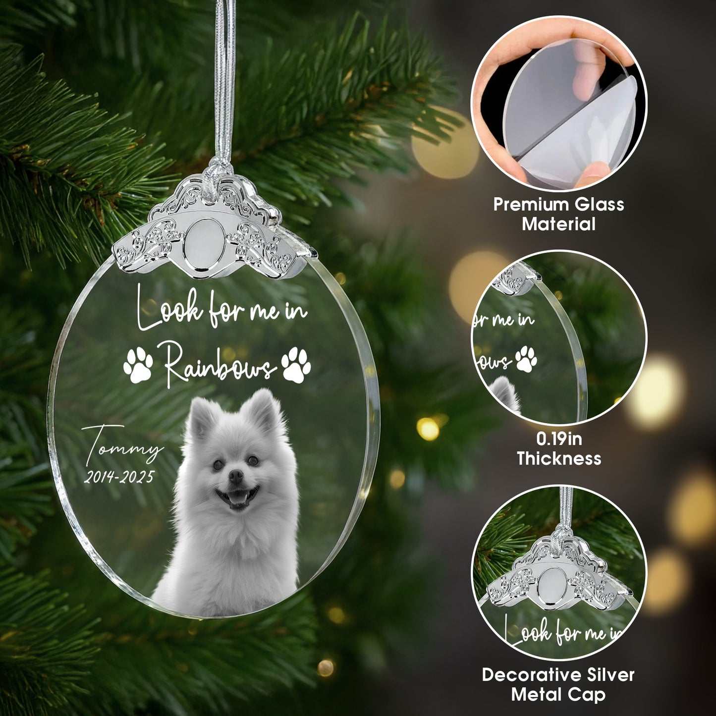 Look For Me In Rainbows, Paw Prints And Dog