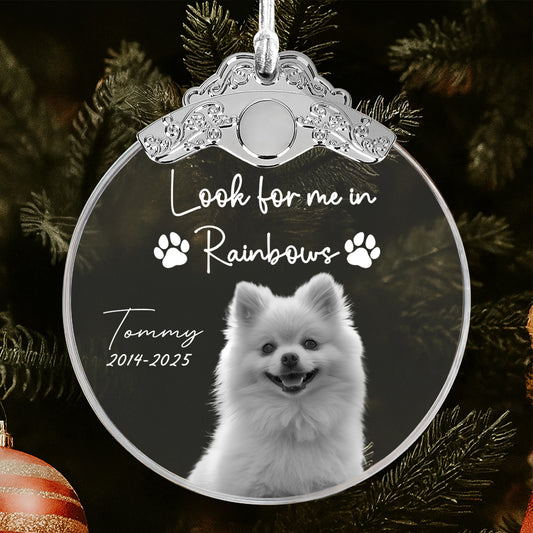 Look For Me In Rainbows, Paw Prints And Dog