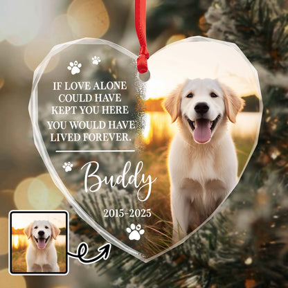 If Love Alone Could Have Kept You Here, Dog and Paws