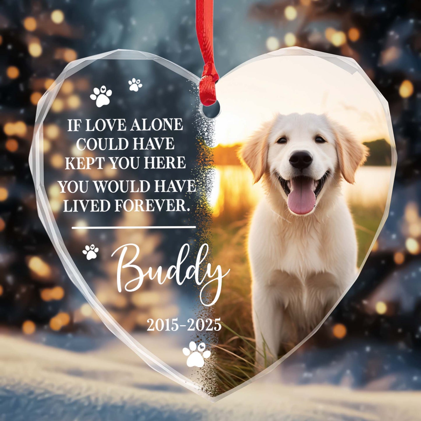 If Love Alone Could Have Kept You Here, Dog and Paws