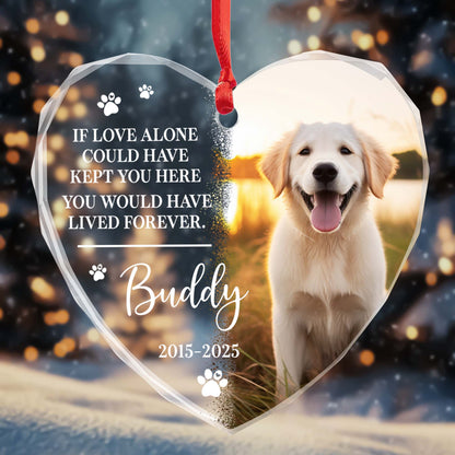 If Love Alone Could Have Kept You Here, Dog and Paws