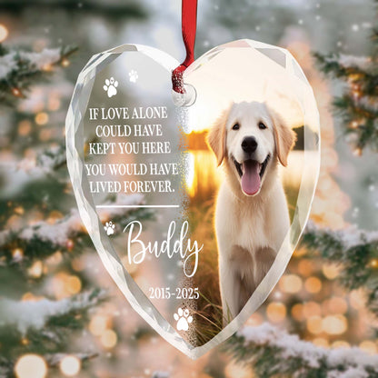 If Love Alone Could Have Kept You Here, Dog and Paws