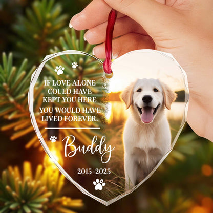 If Love Alone Could Have Kept You Here, Dog and Paws