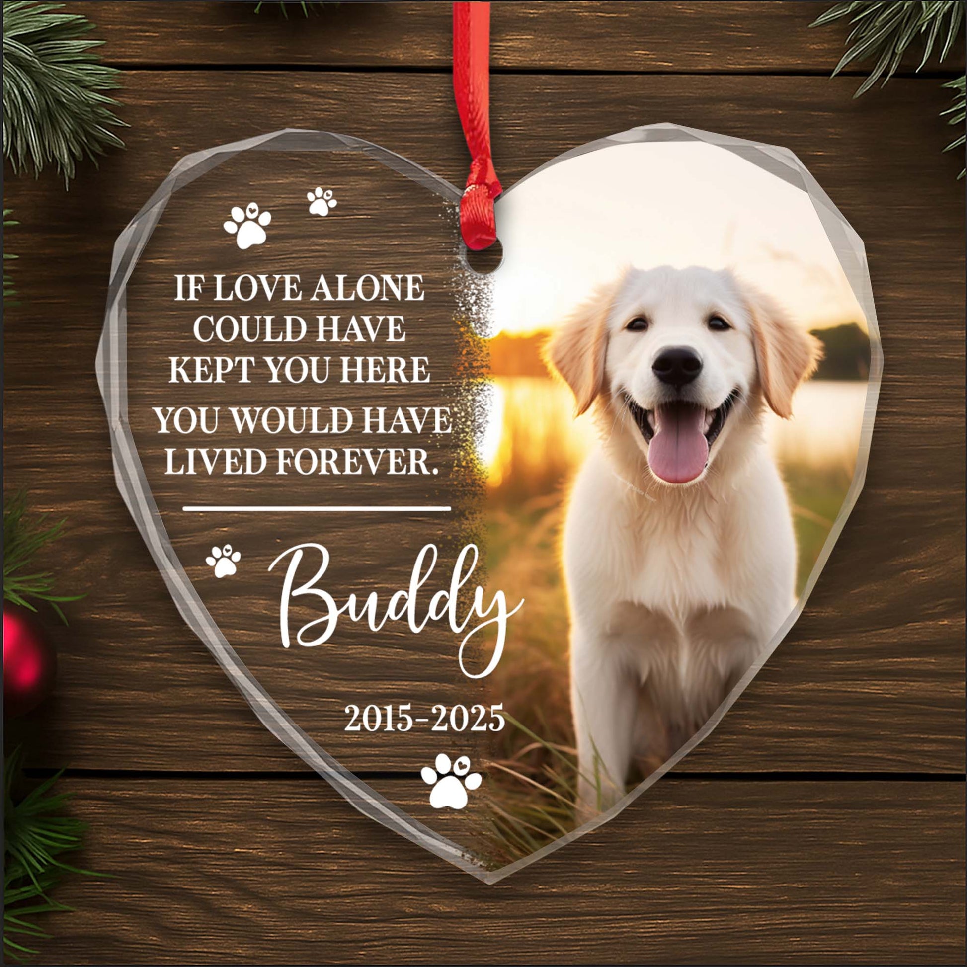 If Love Alone Could Have Kept You Here, Dog and Paws