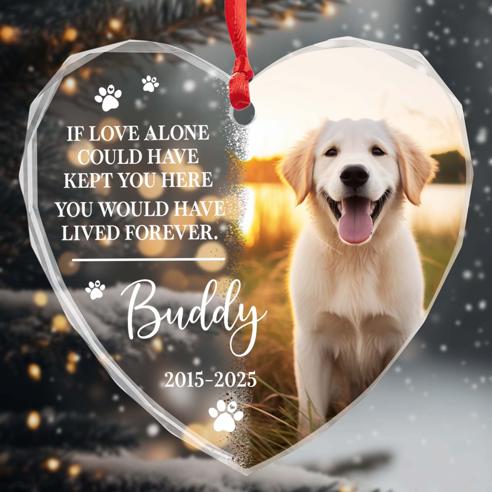 If Love Alone Could Have Kept You Here, Dog and Paws