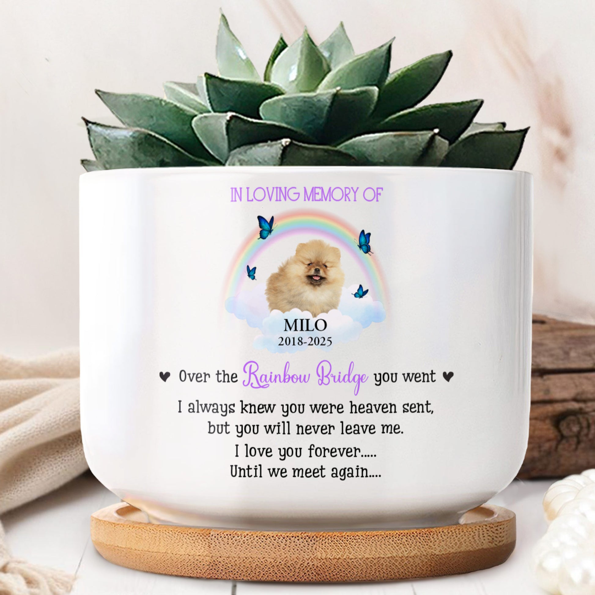 In Loving Memory Of Milo, Over The Rainbow Bridge, Rainbow And Butterflies