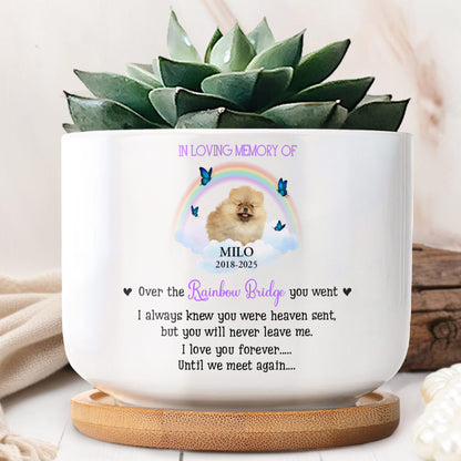 In Loving Memory Of Milo, Over The Rainbow Bridge, Rainbow And Butterflies