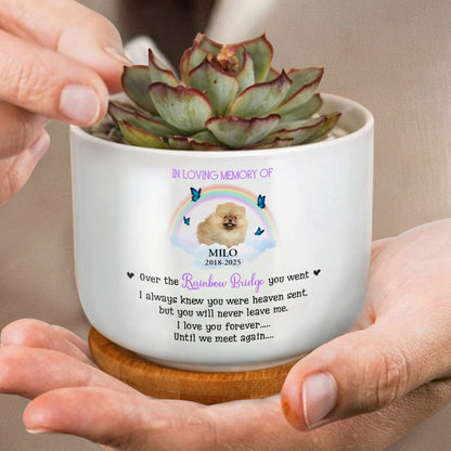 In Loving Memory Of Milo, Over The Rainbow Bridge, Rainbow And Butterflies