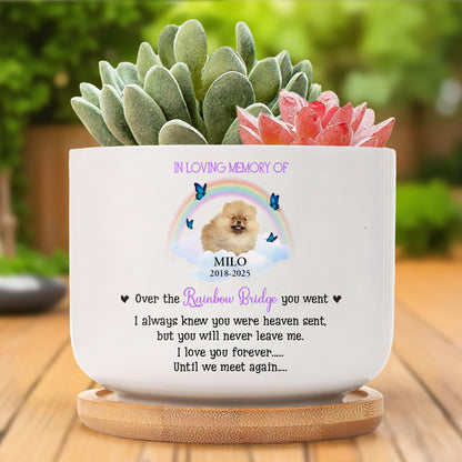 In Loving Memory Of Milo, Over The Rainbow Bridge, Rainbow And Butterflies