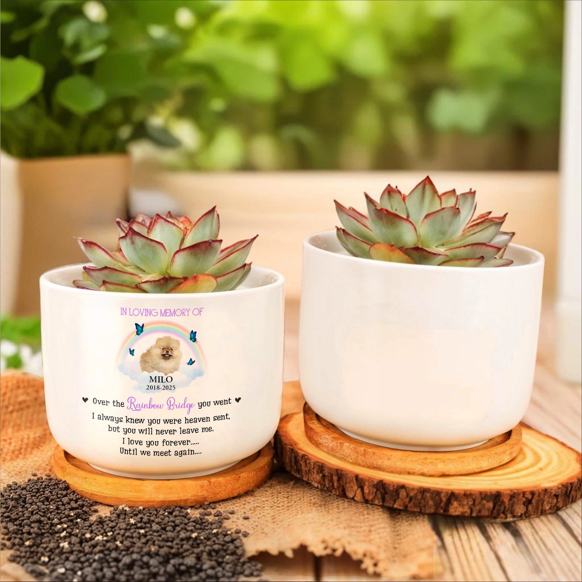 In Loving Memory Of Milo, Over The Rainbow Bridge, Rainbow And Butterflies