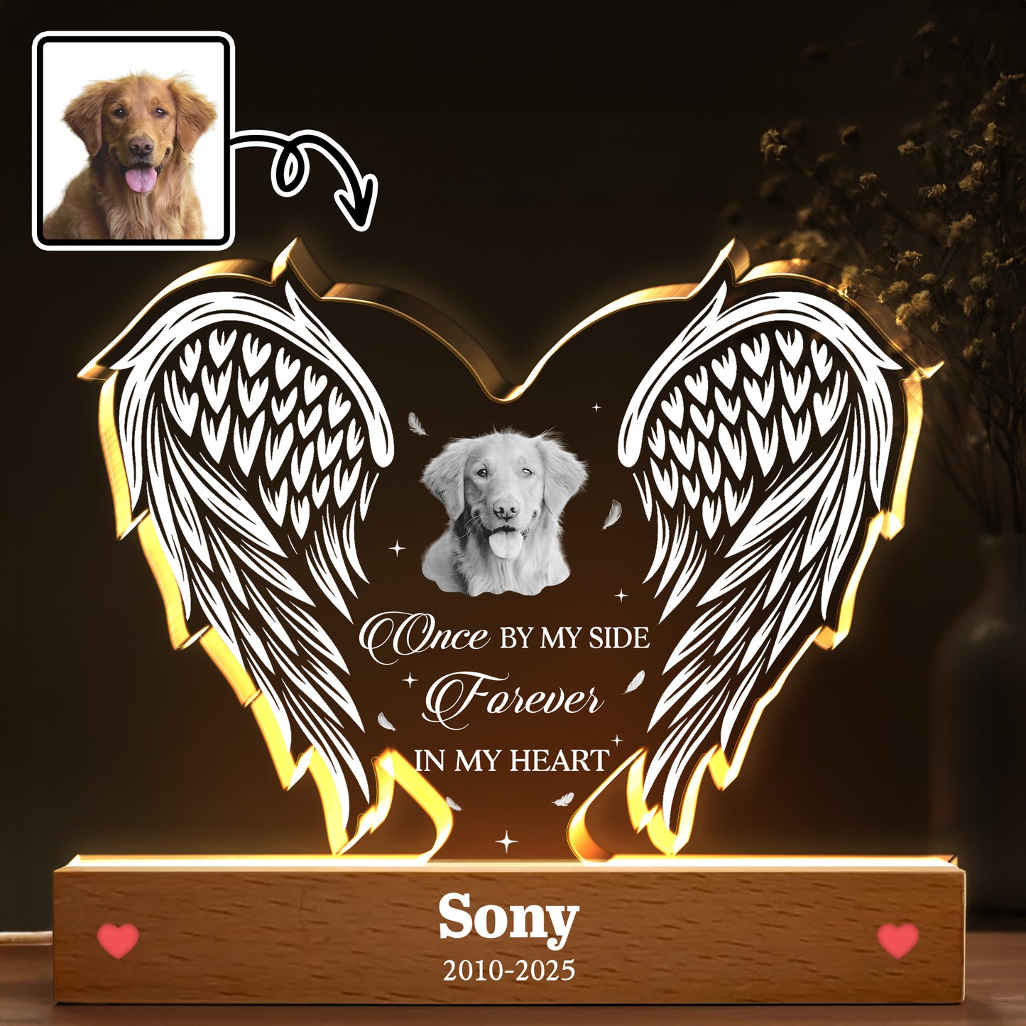 Once By My Side, Forever In My Heart, Angel Wings