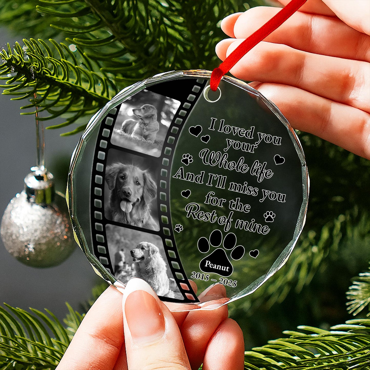 I Loved Your Whole Life And I'll Miss You, Paws And Film Strip