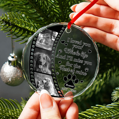 I Loved Your Whole Life And I'll Miss You, Paws And Film Strip