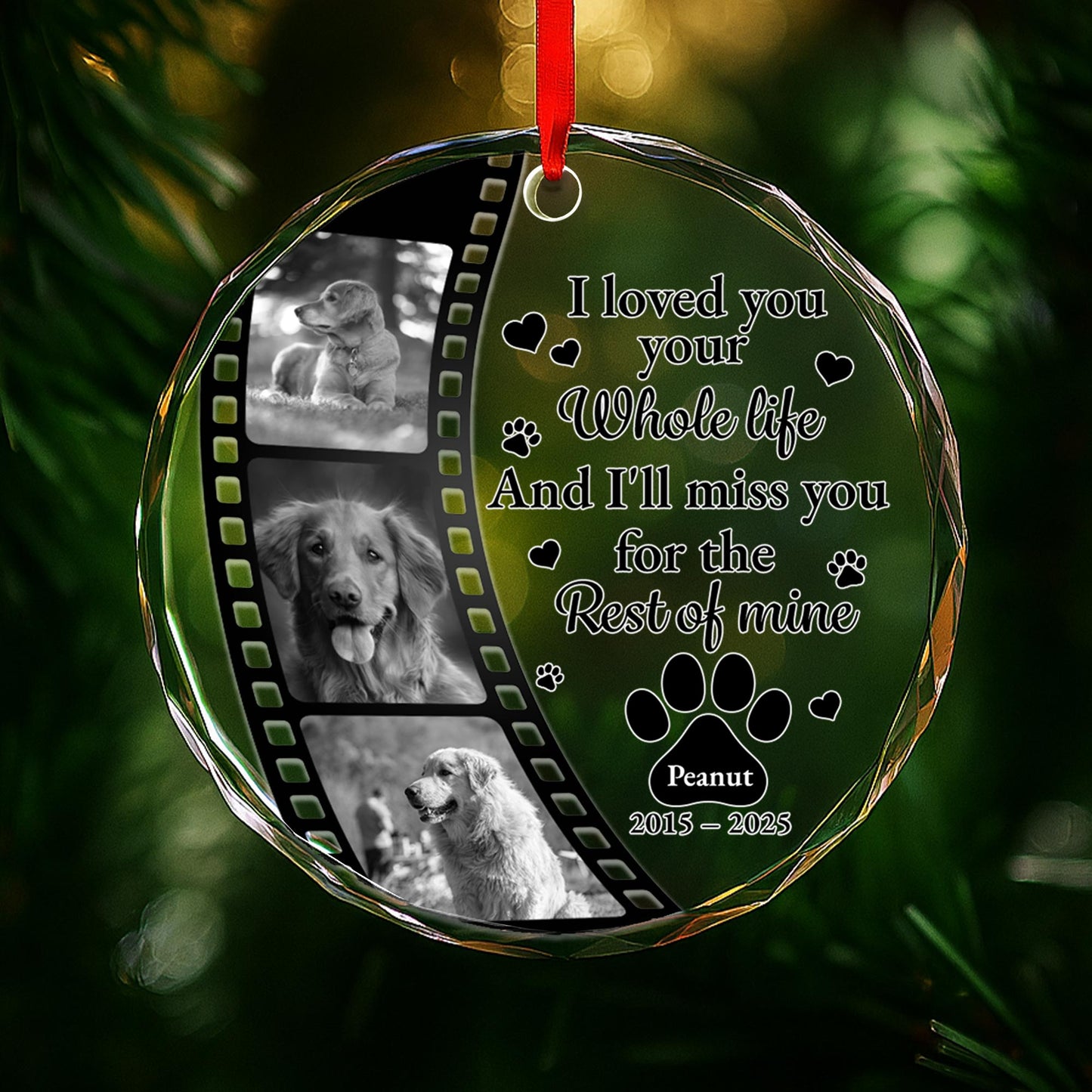 I Loved Your Whole Life And I'll Miss You, Paws And Film Strip