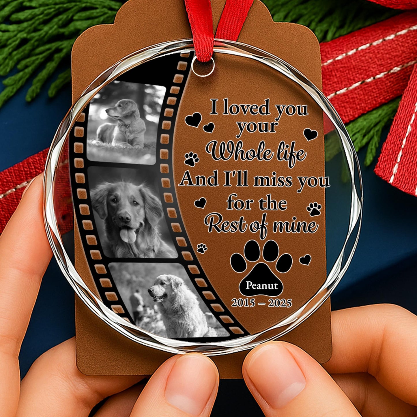 I Loved Your Whole Life And I'll Miss You, Paws And Film Strip