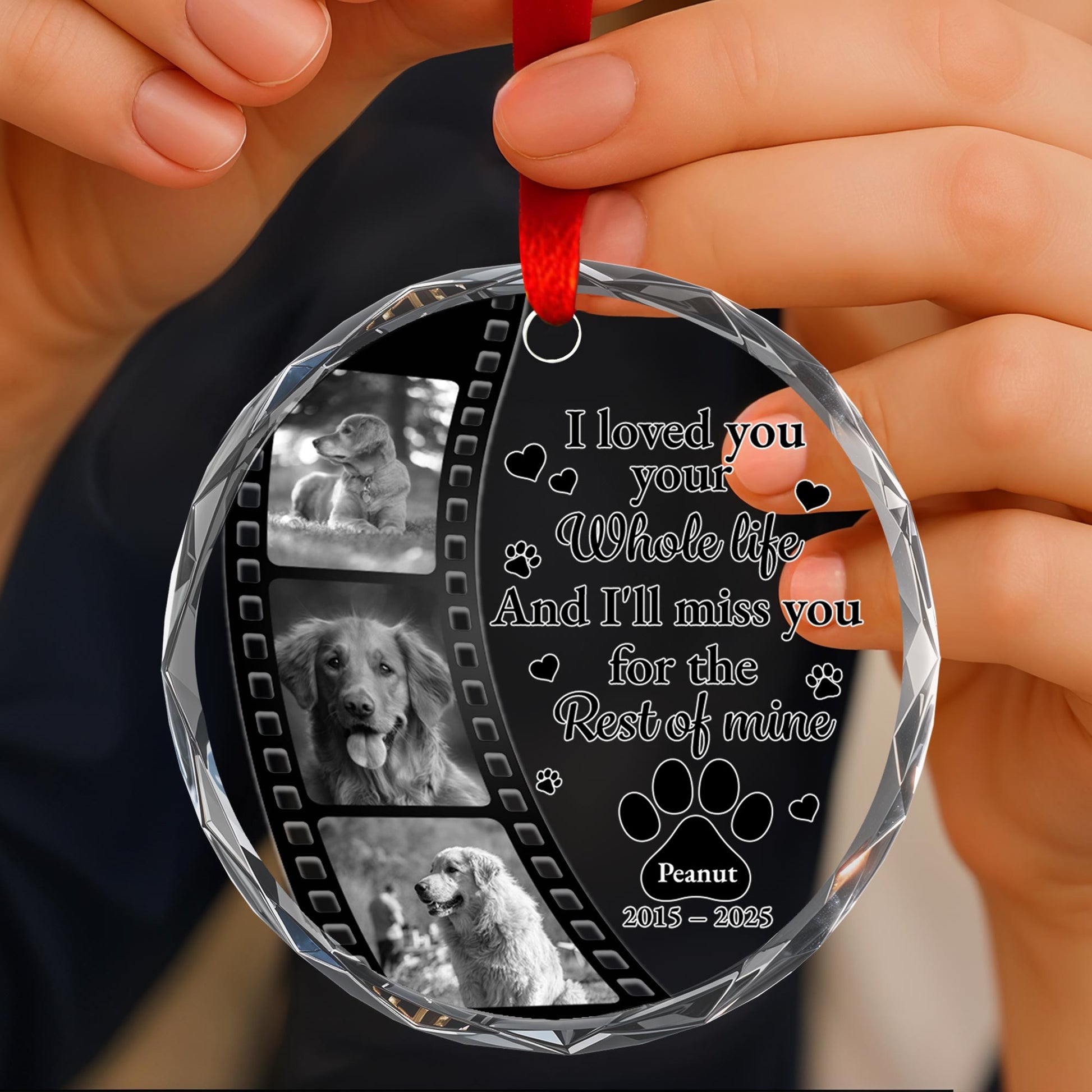 I Loved Your Whole Life And I'll Miss You, Paws And Film Strip