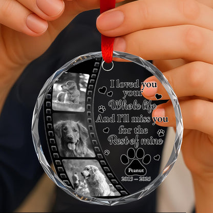 I Loved Your Whole Life And I'll Miss You, Paws And Film Strip