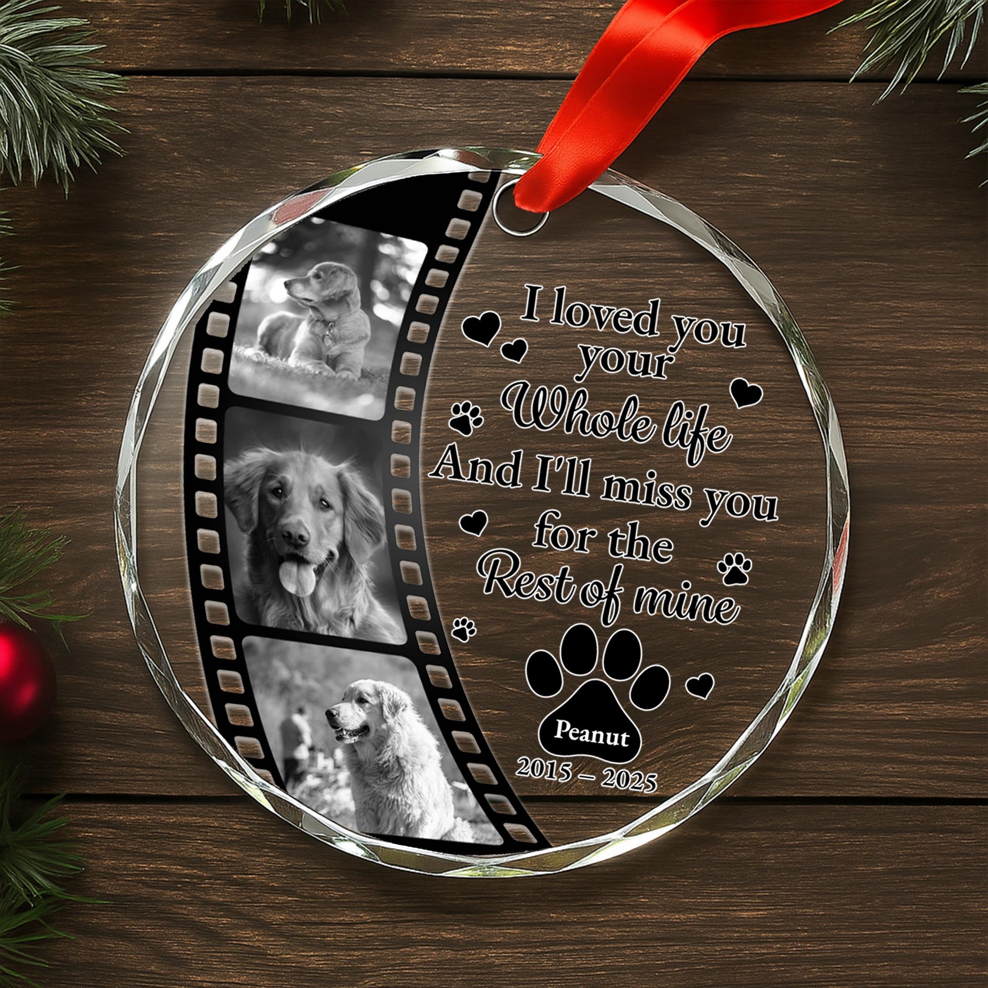 I Loved Your Whole Life And I'll Miss You, Paws And Film Strip