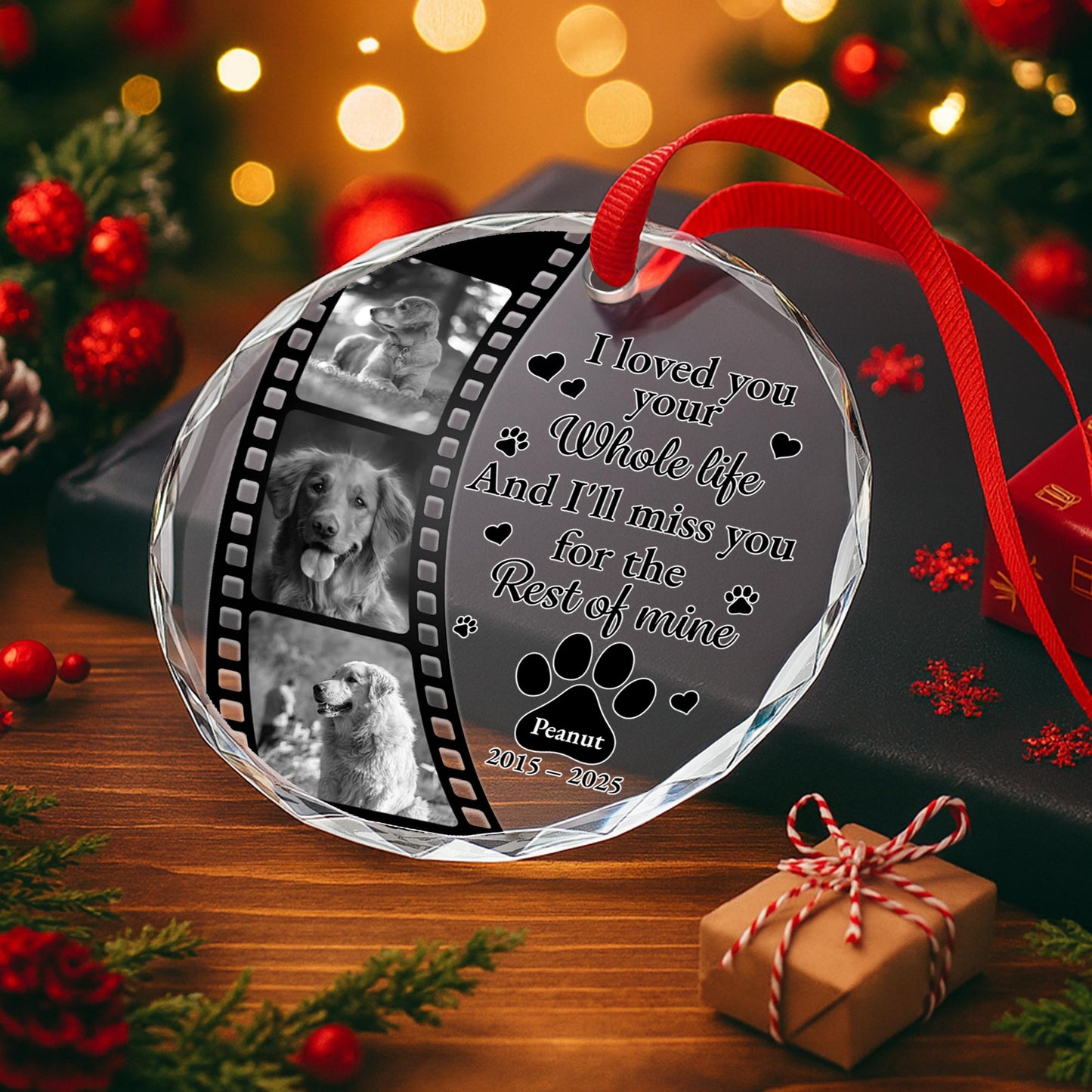 I Loved Your Whole Life And I'll Miss You, Paws And Film Strip