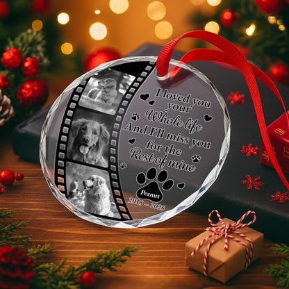 I Loved Your Whole Life And I'll Miss You, Paws And Film Strip