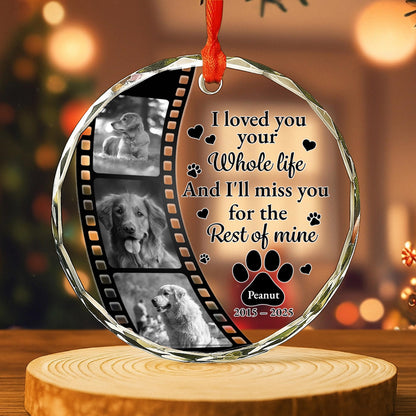 I Loved Your Whole Life And I'll Miss You, Paws And Film Strip