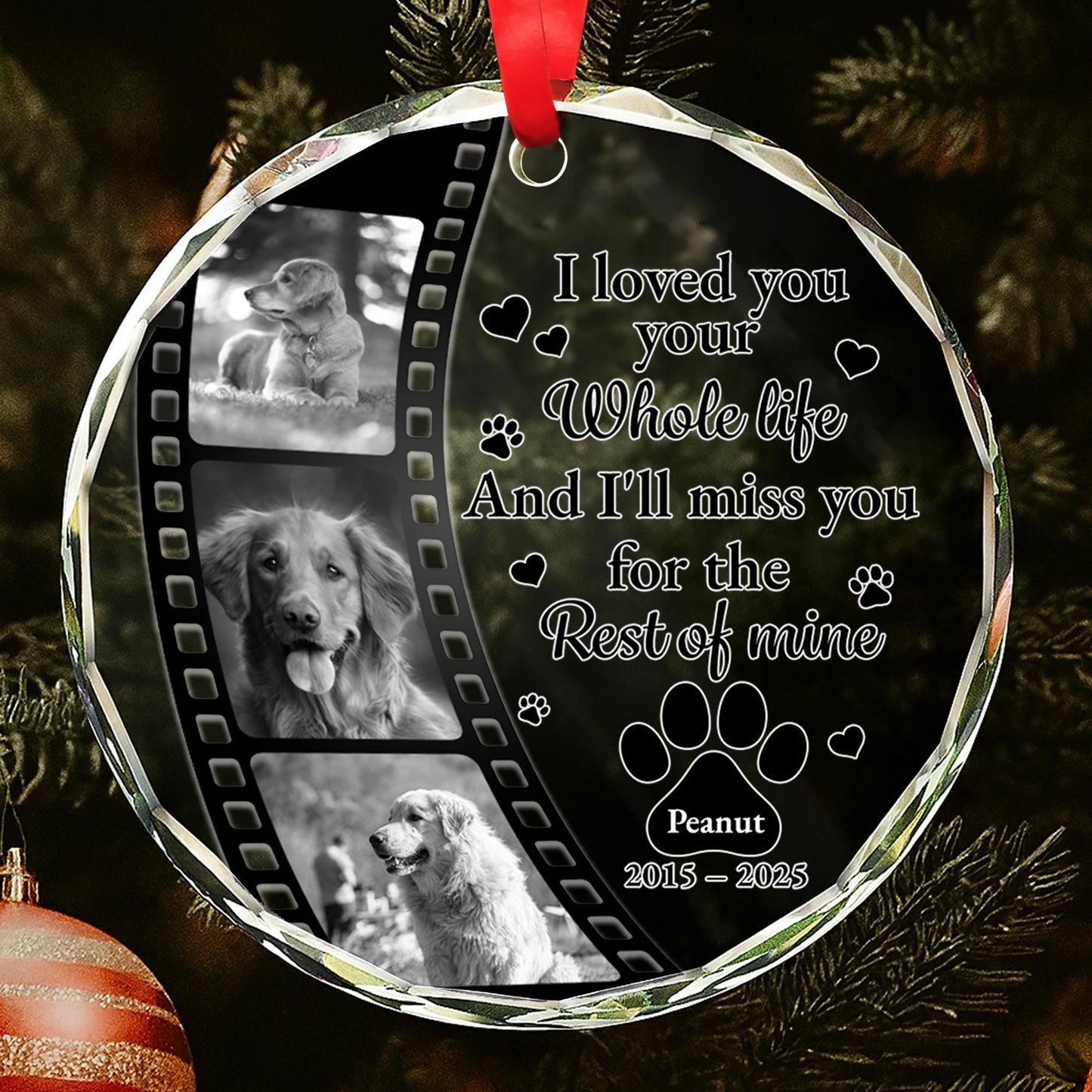 I Loved Your Whole Life And I'll Miss You, Paws And Film Strip