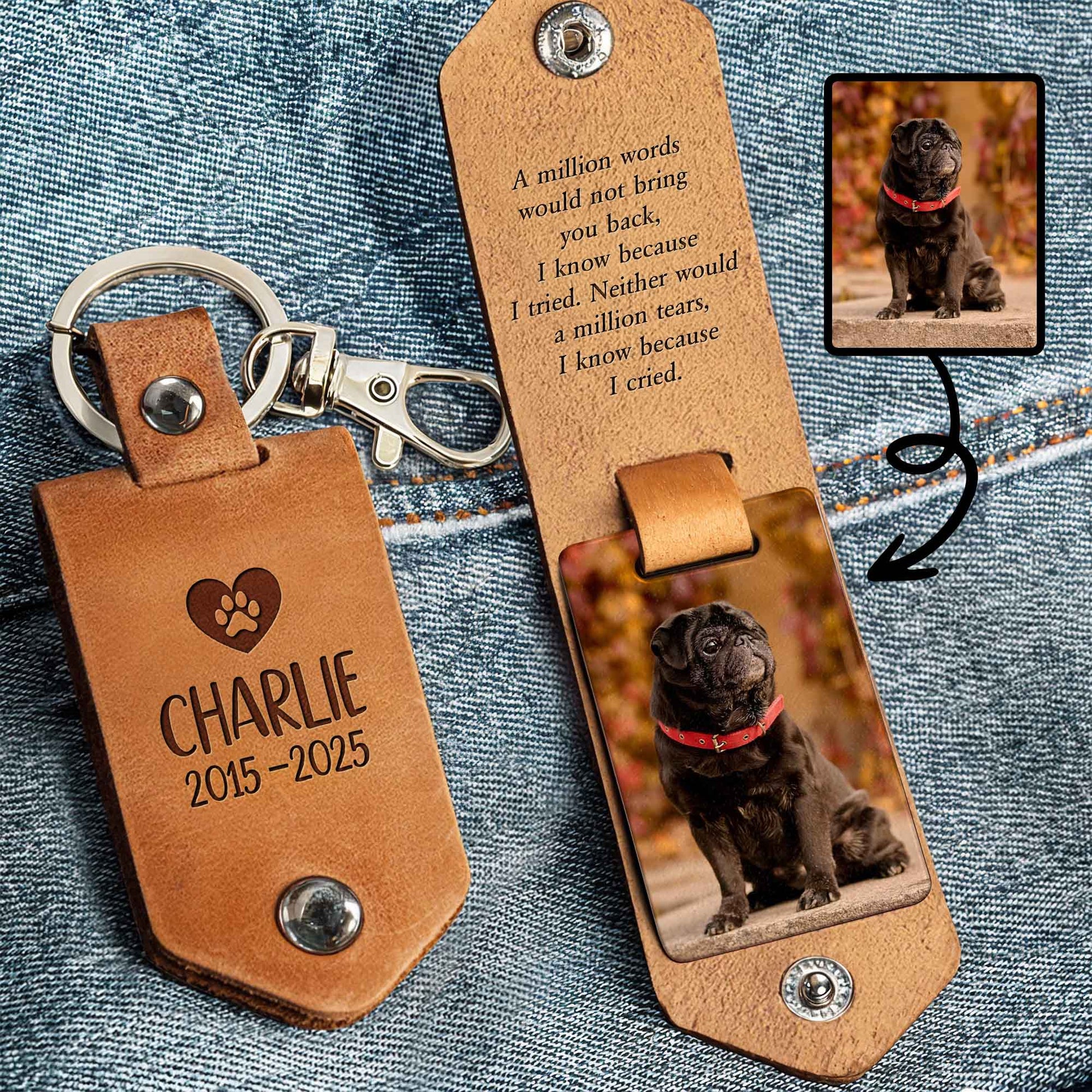 A Million Words Would Not Bring You Back, Paws