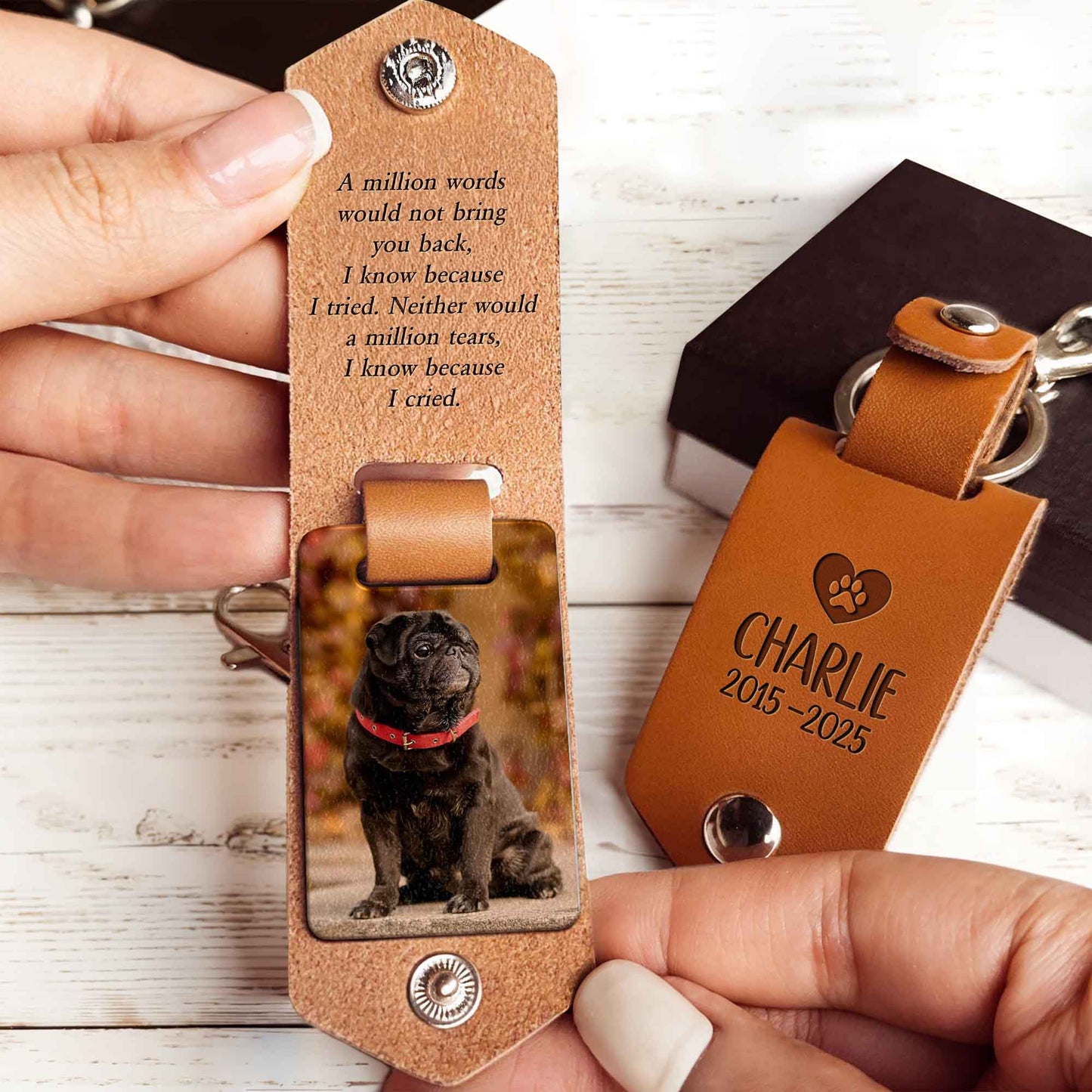 A Million Words Would Not Bring You Back, Paws