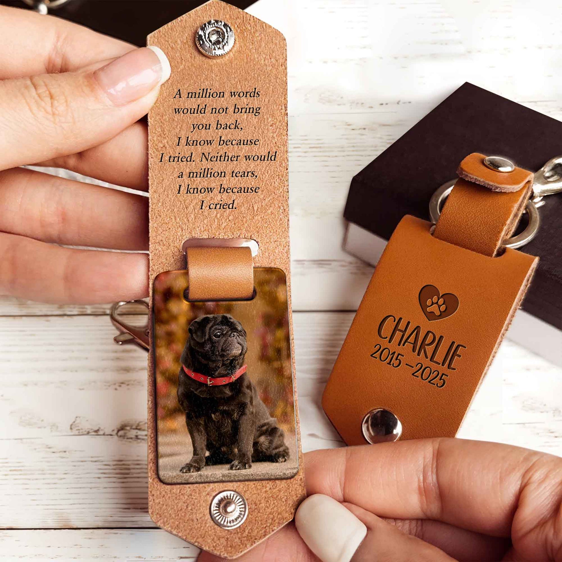 A Million Words Would Not Bring You Back, Paws