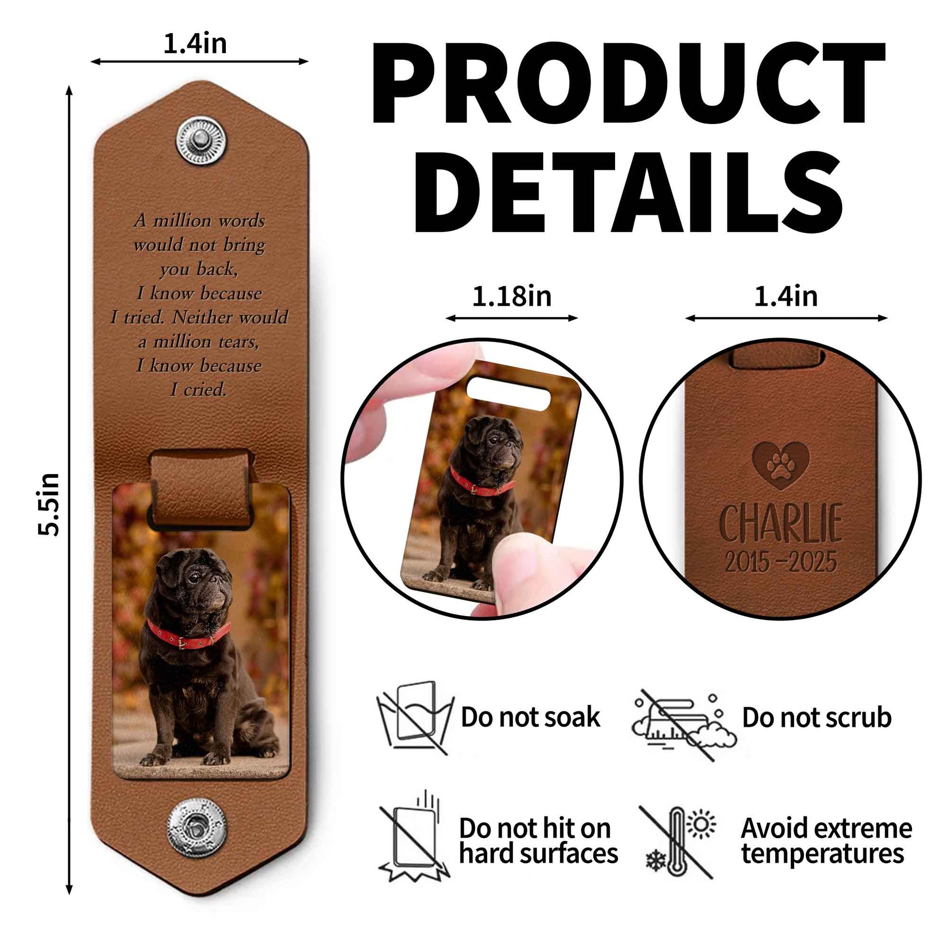 A Million Words Would Not Bring You Back, Paws