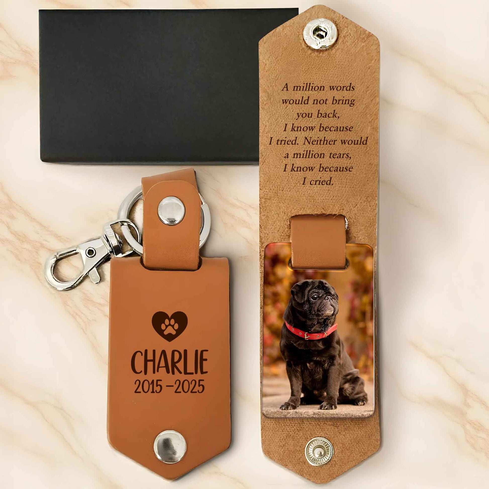 A Million Words Would Not Bring You Back, Paws