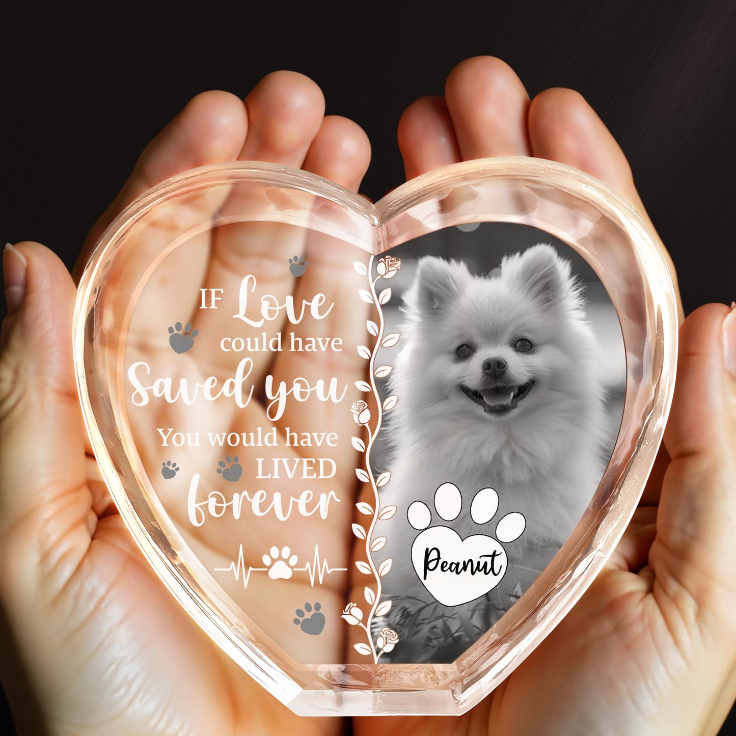 If Love Could Have Saved You With Dog And Paws