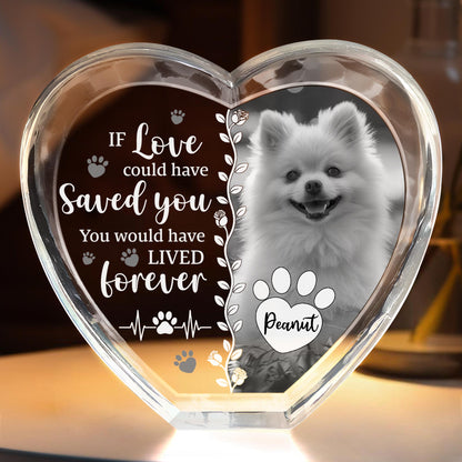 If Love Could Have Saved You With Dog And Paws