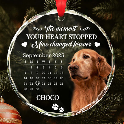 The Moment Your Heart Stopped, Featuring Dog And Calendar