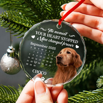 The Moment Your Heart Stopped, Featuring Dog And Calendar